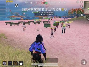 和平精英稳定透视卡密